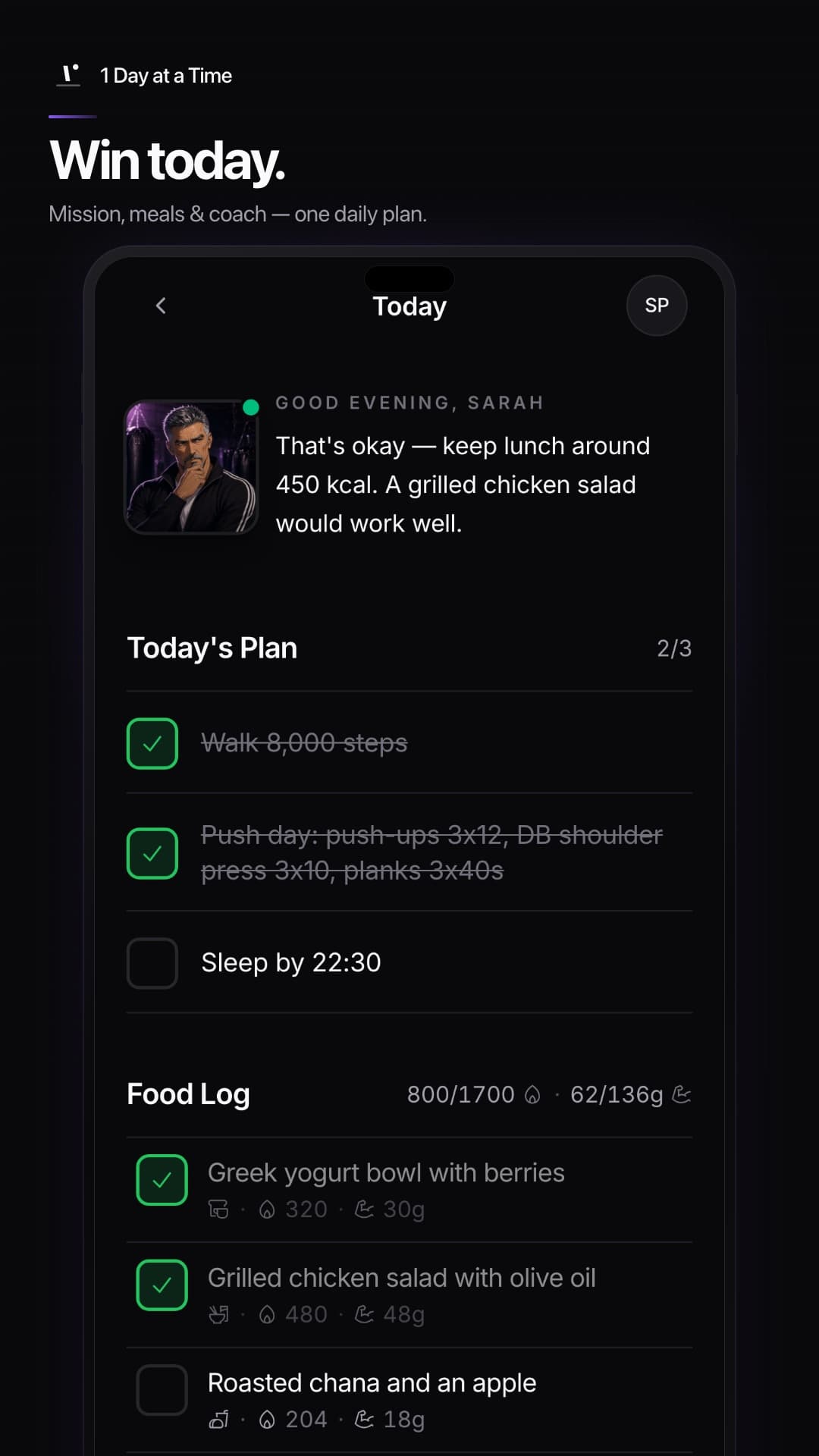 1 Day at a Time daily plan screen | ReplikaTech
